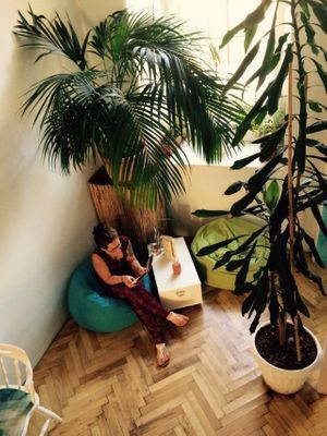 inside at Papaya Saftbar - Mobile Juice Bar in Villach