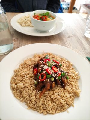 Mushroom fusion with brown rice and thai curry at The Cornish Vegan in Truro