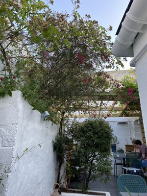 Outside tables at The Cornish Vegan in Truro