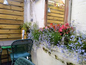  at The Cornish Vegan in Truro