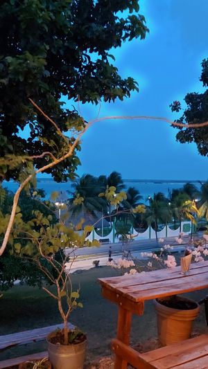 View at Mango y Chile in Bacalar