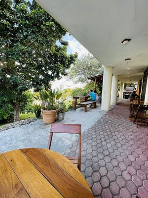 Outside seating area   at Mango y Chile in Bacalar
