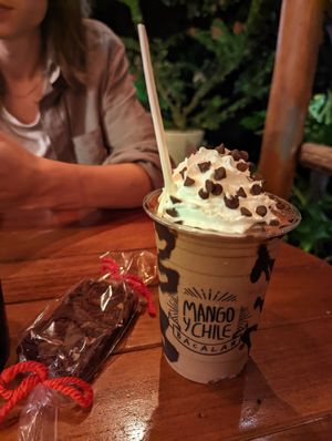 Chocolate milkshake & brownie at Mango y Chile in Bacalar