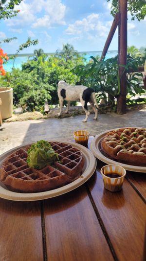 Hashbrown & Frittata at Mango y Chile in Bacalar