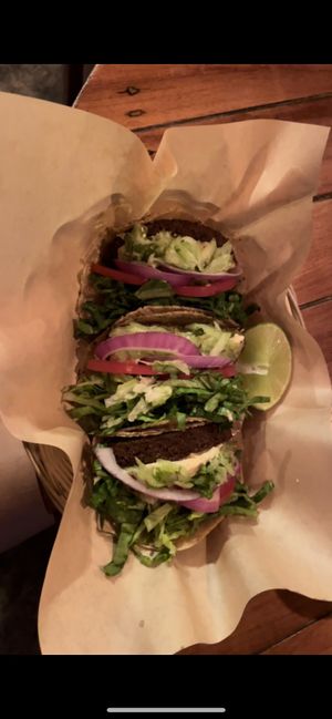 Falafel tacos!!   at Mango y Chile in Bacalar