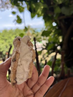   at Mango y Chile in Bacalar