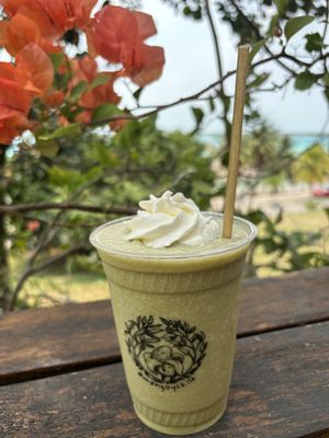   at Mango y Chile in Bacalar