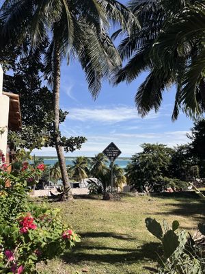   at Mango y Chile in Bacalar