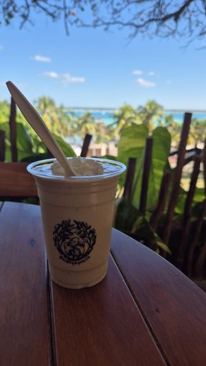   at Mango y Chile in Bacalar