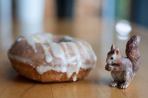  at Mighty-O Donuts - Ballard in Seattle