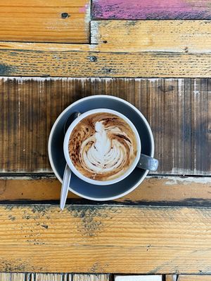 Mocca   at Nagev in Evandale