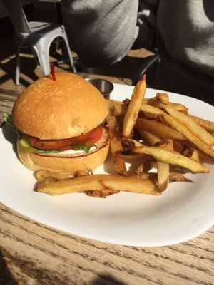 Buffalo Chick Un with fries 🤤 at Grow Your Roots Cafe in Ottawa