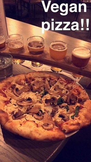 Vegan Tundra at 49th State Brewing Co in Anchorage