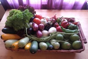 Todos productos de mercado ecologico at Suspiros de Sefarad in Malaga