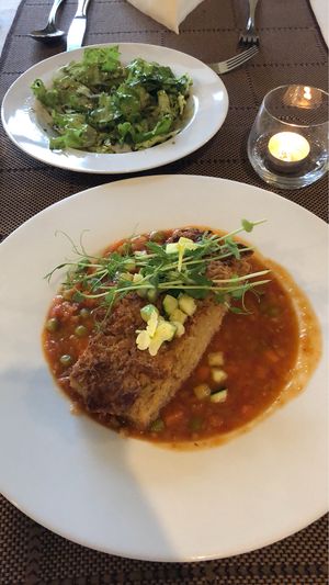 Lunch of the day at VeganFresh Hotel & Restaurant in Medvode
