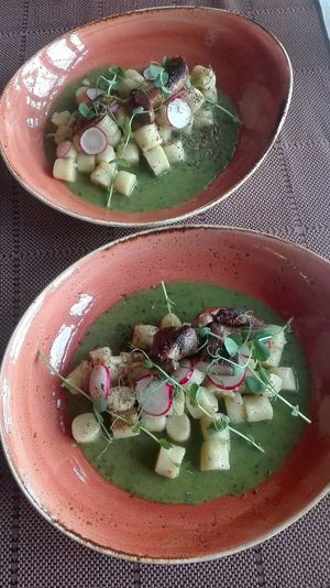 gnochi with pea souse and mashrooms at VeganFresh Hotel & Restaurant in Medvode