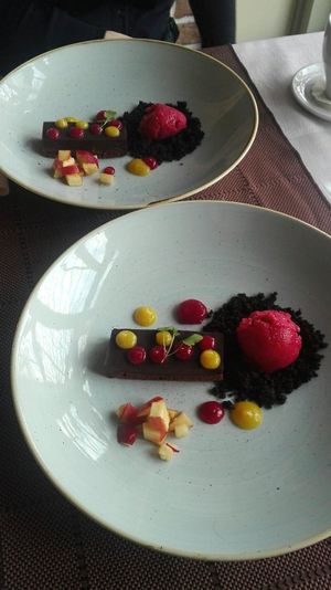 chocolate ganash with raspberry ice creame and fruit drips at VeganFresh Hotel & Restaurant in Medvode