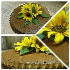 Raw chocolate cake at Pikuleca in Pula