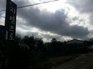 Need to walk in little bit at Jayeonneuro in Jeju