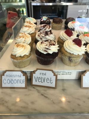 Cupcakes 🥰 at Blondie's Vegan in Boynton Beach