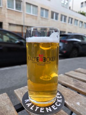 Beer at Vegan Kiosk in Bratislava