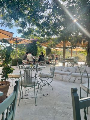   at Aubergine in Ibiza