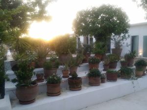 beautiful at Aubergine in Ibiza