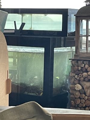 🥲  at Mamabeach in Olbia