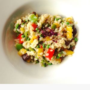 specially prepared risotto for me (vegan) at The Bridge Inn in Menai Bridge