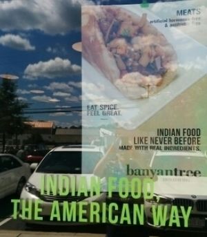 Naan Sandwich at Banyan Tree South Asian Grill in Fairfax