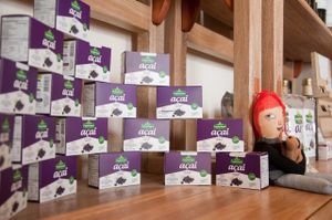 Acai Berry at Tahini Tienda Vegana in Villa De Leyva