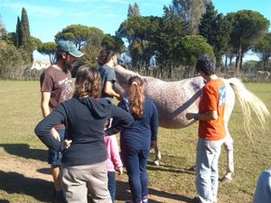 During the visits Liu always makes sure she gets enough attention! at Ippoasi Animal Sanctuary in San Piero A Grado