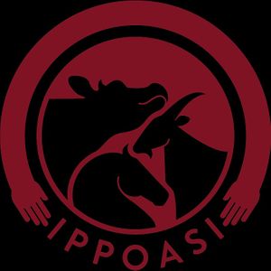 I LOVE IPPOASI at Ippoasi Animal Sanctuary in San Piero A Grado