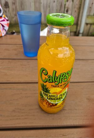 Calypso at Pie-Sci in Detroit