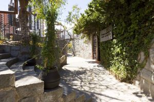 The only vegan and nonprofit restaurant in Ecuador. at Tandana in Quito