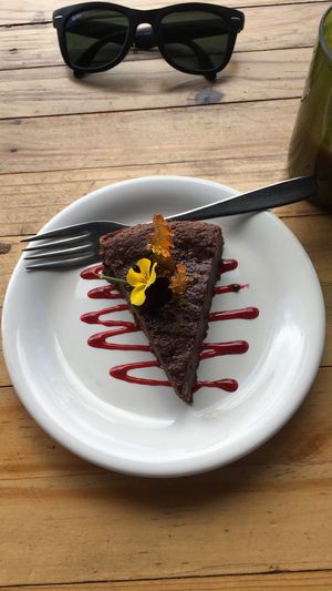 Brownie at Tandana in Quito