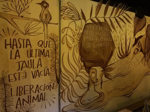 👏🏽🙋🏽‍♀️✌🏽 at Tandana in Quito