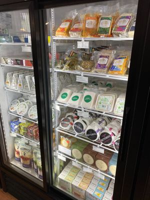  at Good Rebel in Toronto