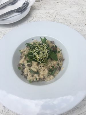 Mushrooms risotto  at Incruenti in Prague