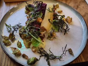 Starter 2 at BROEI in Utrecht