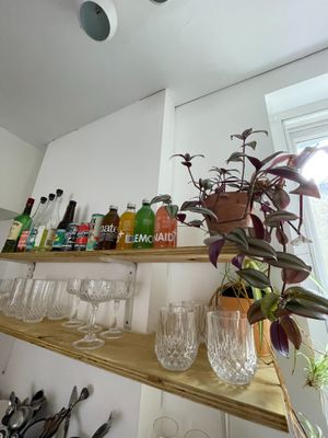 The Canvas' vegan suppliers are social enterprises and local whenever possible at The Canvas: Shoreditch in East London