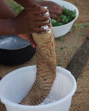 This is the way we prepare coconut milk. at Tishi's Farm in Gede
