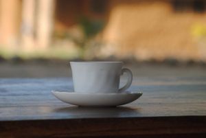 Kenyan coffee... one of best coffee around the world at Tishi's Farm in Gede