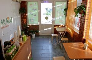 Interior cafe. Live plants , usually playing music , all the food is cooked at your presence . at Kakadu Vegfood in Sudak