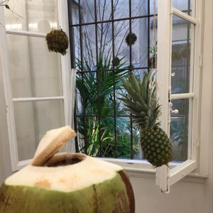 delicious coconut from Thailand with a view to an inside garden! at #RAW VEGAN FIRENZE in Florence