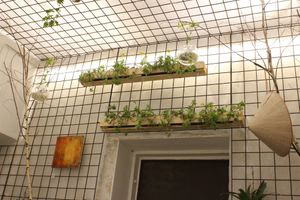 atmosphere at #RAW VEGAN FIRENZE in Florence