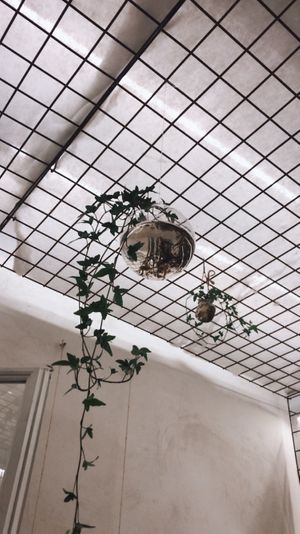 Lovely interieur  at #RAW VEGAN FIRENZE in Florence