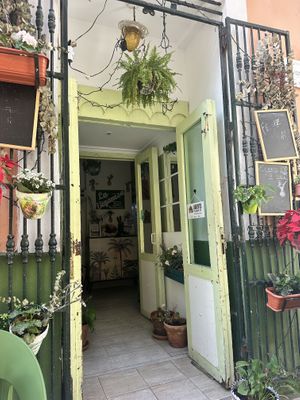   at La Veganesa in Cadiz