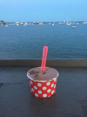 kiddie vegan chocolate at the Aquarium Marketplace waterfront deck at I Dream of Gelato in Provincetown
