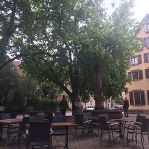You can eat inside or outside in this beautiful little square at Adelhaus in Freiburg